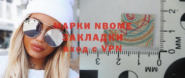 прущие грибы Бородино