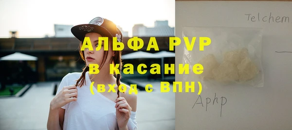 прущие грибы Бородино