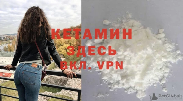 прущие грибы Бородино