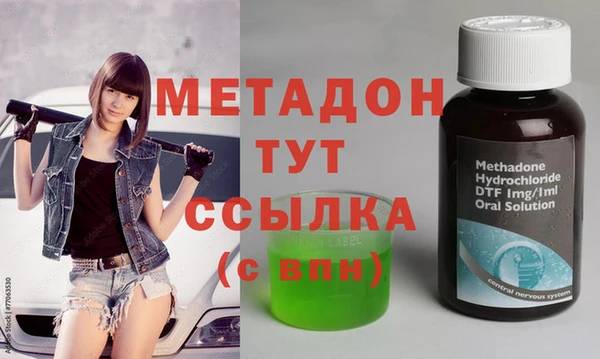 прущие грибы Бородино