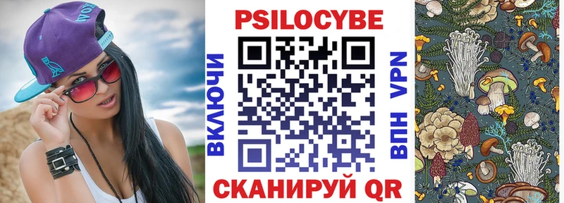продажа наркотиков  Северобайкальск  Галлюциногенные грибы Cubensis 