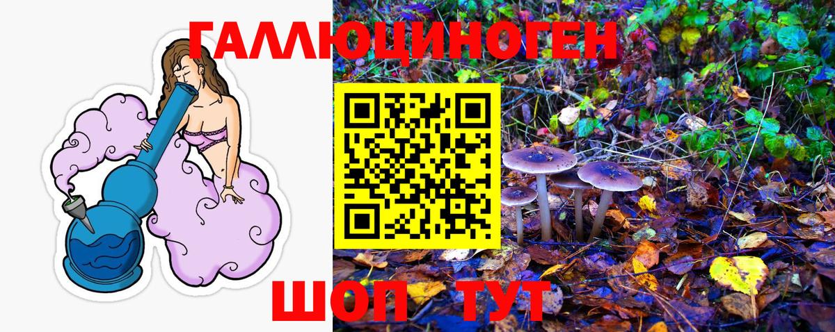 Северобайкальск  как найти закладки  Псилоцибиновые грибы мицелий  Вход с VPN  Галлюциногенные грибы мухоморы 