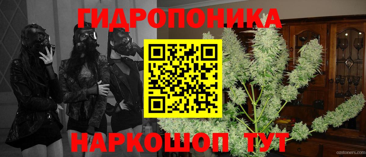 МАРИХУАНА планчик  Вход с VPN  Бошки Шишки тримм  Северобайкальск  Шишки марихуана сатива 
